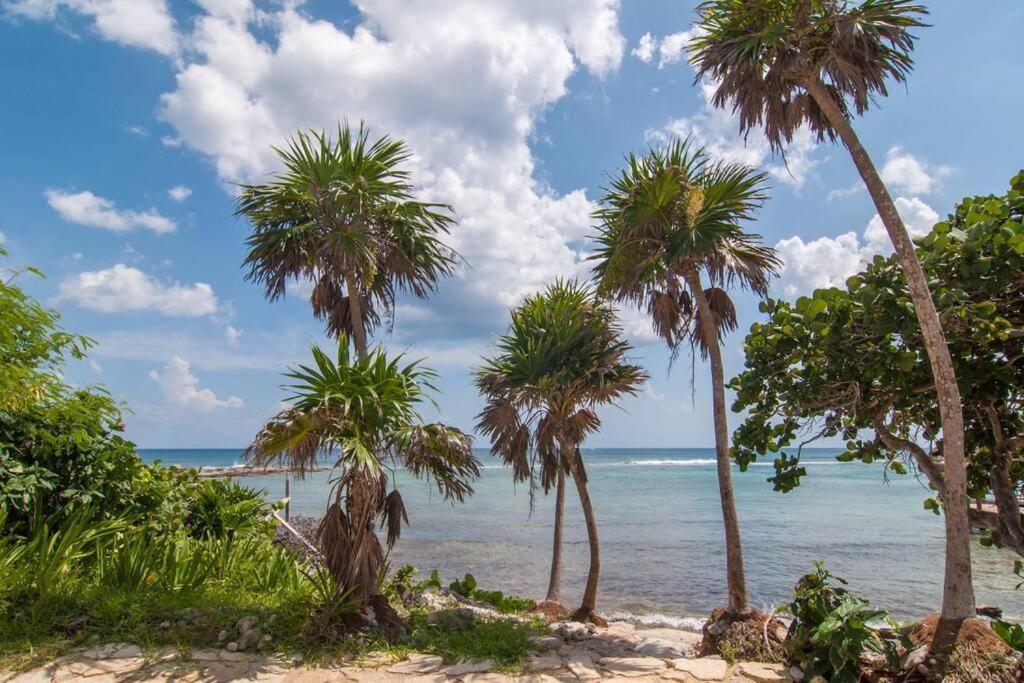 Ground Level Garden Condo At Akumal South By Tao Santamar Kültér fotó